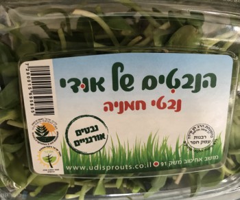 הנבטים של אודי, נבטי חמניה אורגניים, udisprouts.co.il, משק 91 מושב אחיטוב, 0586013795